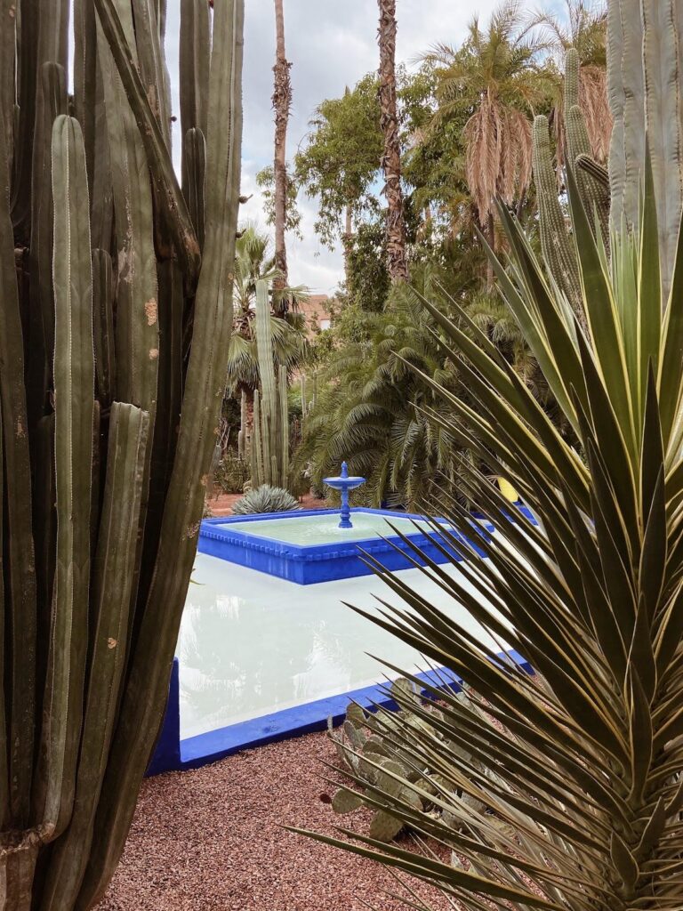 fontana blu e cactus del Jardin Majorelle a Marrakech